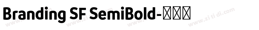 Branding SF SemiBold字体转换
